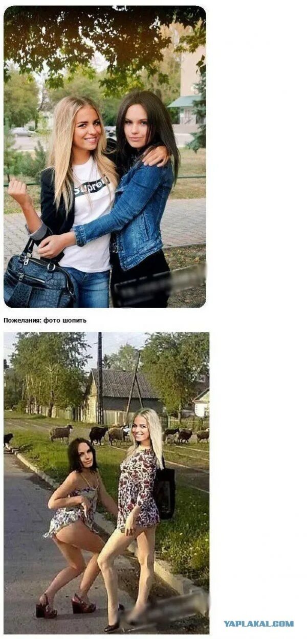 Фотография фотография мое. Школьные фотографии мастер фотошопа. Мои фотографии мои фотографии. Фото мой моя. А на моей фотке.