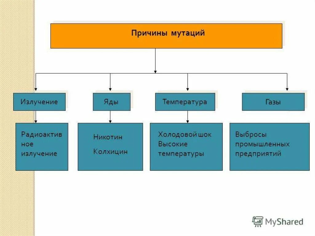 Мутационная изменчивость возникает. Причины мутационной изменчивости. Причины возникновения мутационной изменчивости. Причины возникновения мутаций биология. Причины возникновения мутаций у человека.