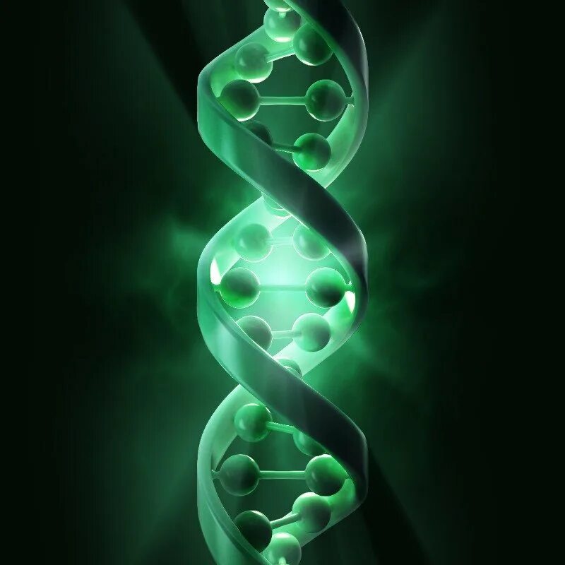 Recombinant dna technology. Симуляция генома фото. Генеральный директор телефон. Первый ген. Lrrtm1 ген изображение.