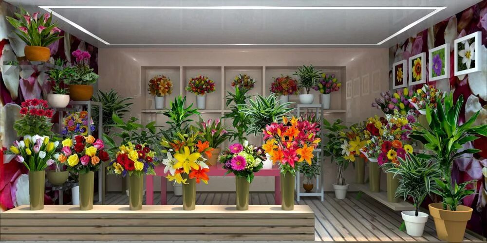 Цветочный магазин экзотические цветы. Цветы в цветочном магазине. Цветочный салон. Интерьер цветочного магазина. Магазин экзотических цветов.