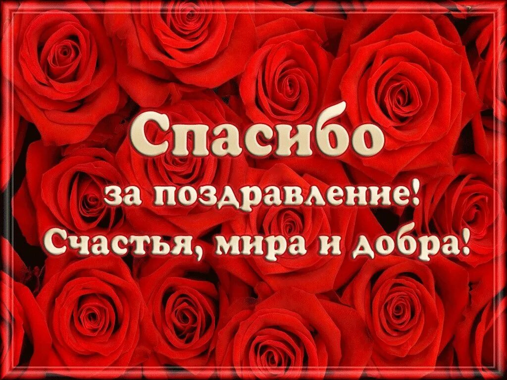 Друзья спасибо за поздравления очень. Спасибо за поздравления. спасибки за поздравления. спасибо всем за поздравления. спасибо большое за поздравления.