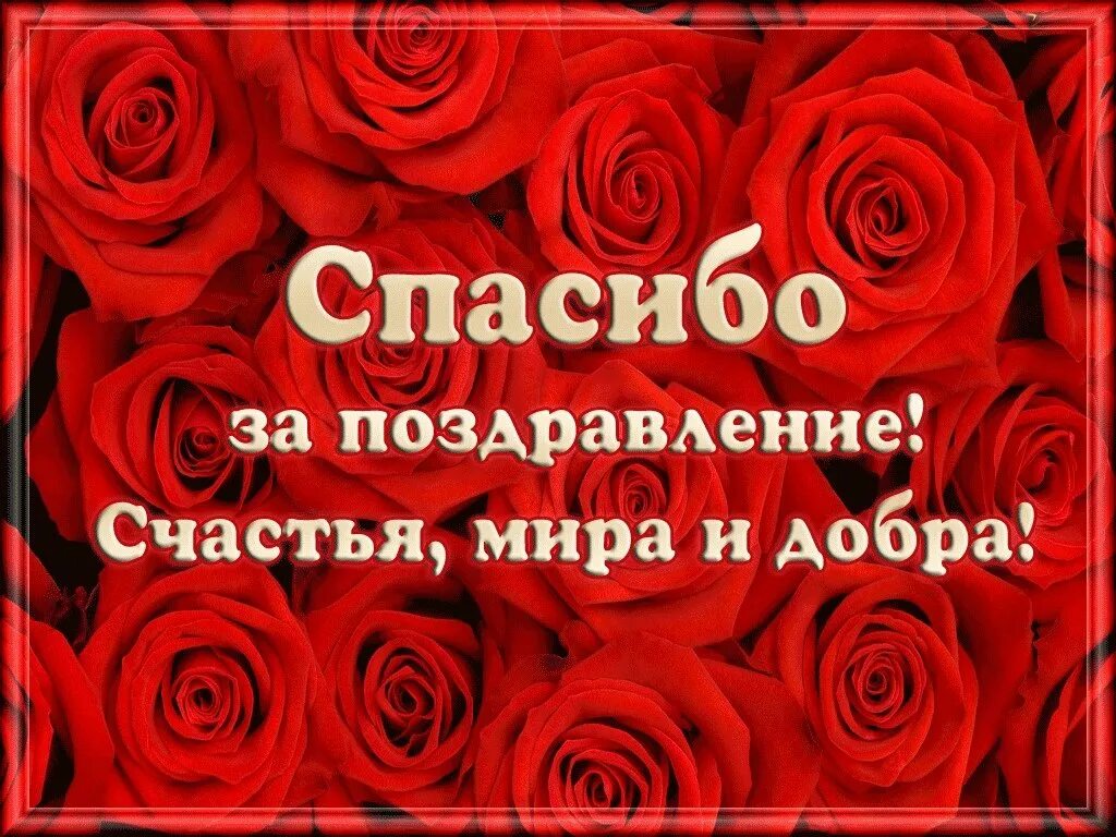 Всем спасибо за поздравления и теплые пожелания. Спасибо за поздравления. Благодарю за поздравления. Спасибо всем за поздравления. Открытка спасибо за поздравления.