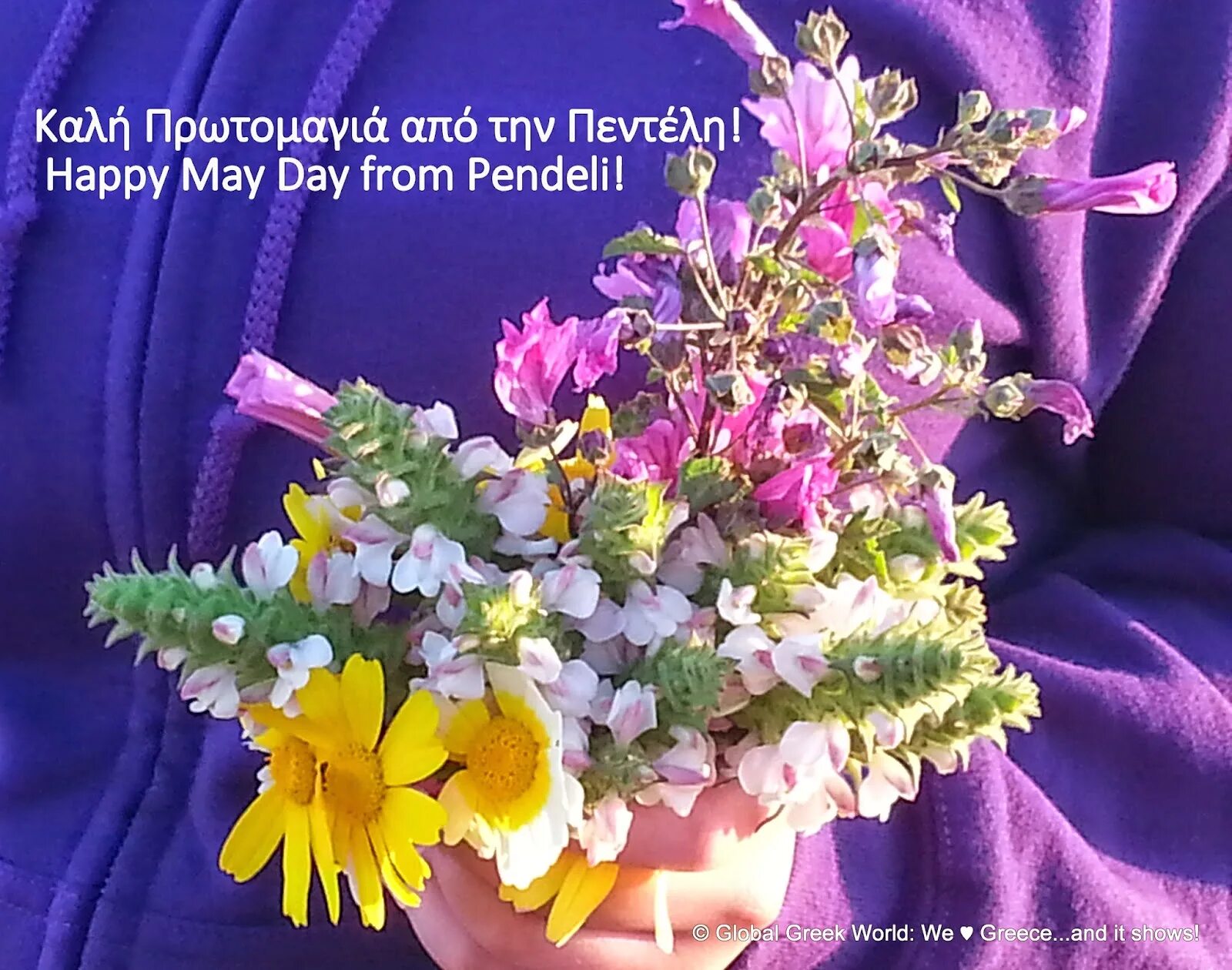 Happy may day. Счастливого майского дня. May Day congratulations. Happy May Day pictures.