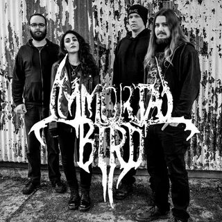 Группа immortal