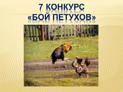 Игра петушиный бой это