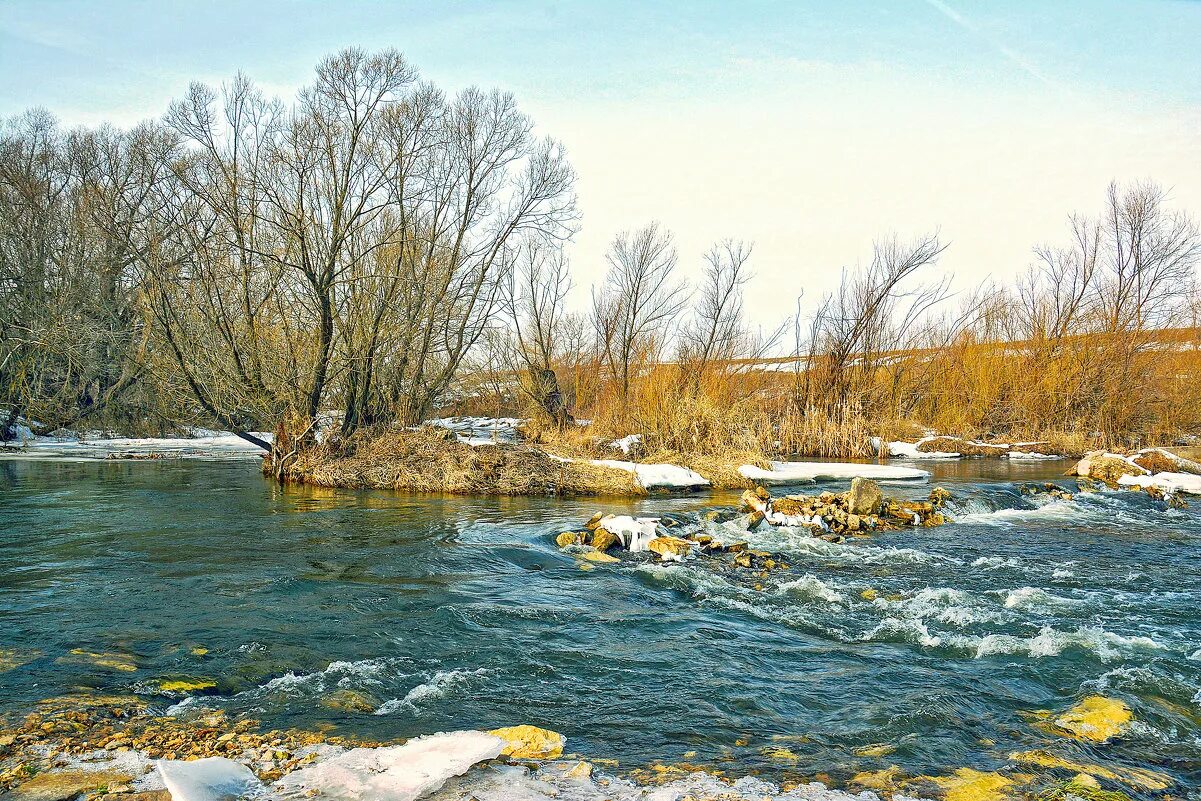 весенние потоки воды. каменистый ручей лист. в течении реки. горные ручьи сочи. долина реки ехэ ухгунь.