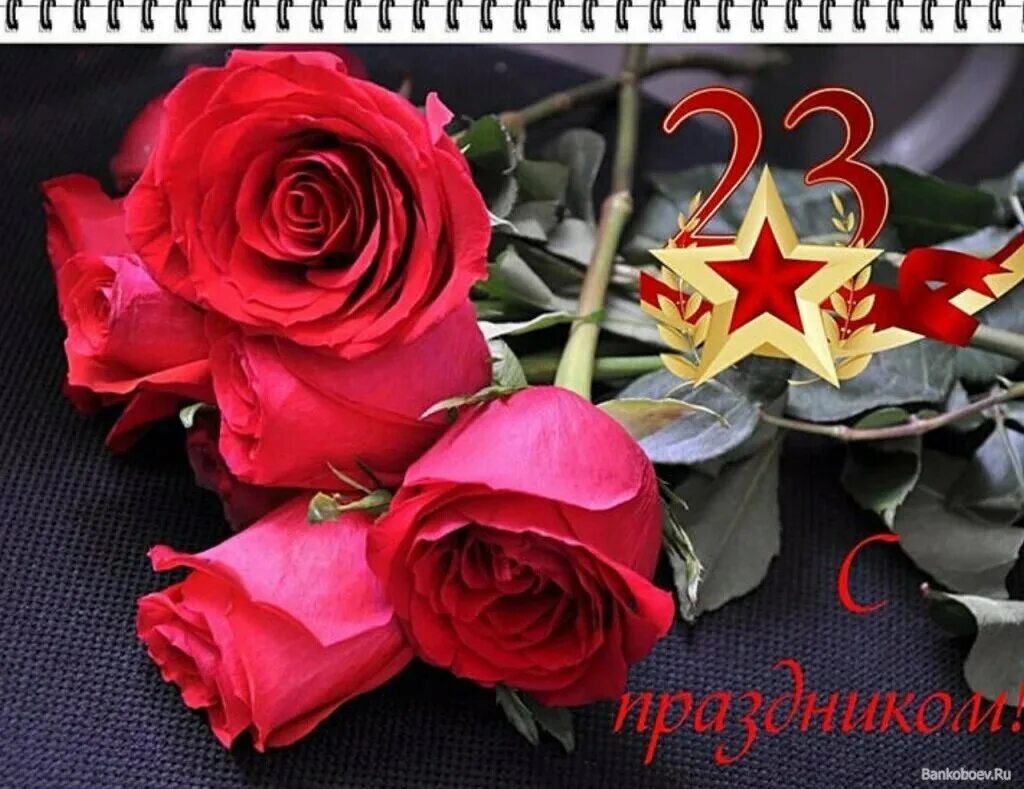 Матерям подарившим жизнь сыновьям 23 февраля. С 23 февраля. с праздником 23 февраля. фото 23 февраля день защитника отечества. открытки к 23 февраля фото красивые.