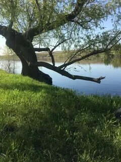 Стенков