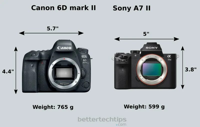 Sony canon сравнение. Canon 6d Mark II. Canon 6d Mark 2 сравнение. Сравнить Canon 6d и Sony a7. Canon 6 d и Sony Alpha 7 III.