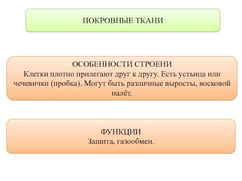 Клетки плотно прилегают друг к другу. Клетки плотно прилегают друг. Ткань в которой клетки прилегают плотно друг к другу. Клетки плотно прилегают друг к другу какая ткань.