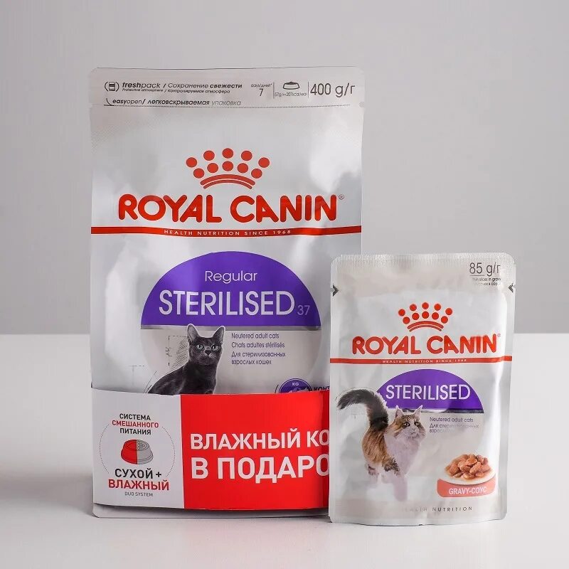 Royal canin для кошек sterilised 37. Корм Royal Canin Sterilised 37. Роял Канин Стерилайзд 37 для кошек. Роял Канин Стерилайзд для кошек 4 кг. Royal Canin Sterilised 400г.