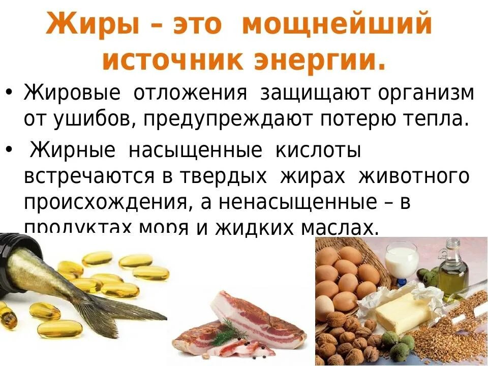 Охарактеризуйте роль жиров в организме животных приведите. Функции белков жиров и углеводов в организме человека. Белки жиры углеводы и их роль в организме человека. Источники жиров в питании. Жиры их роль в питании человека.