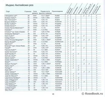 Индекс на английском