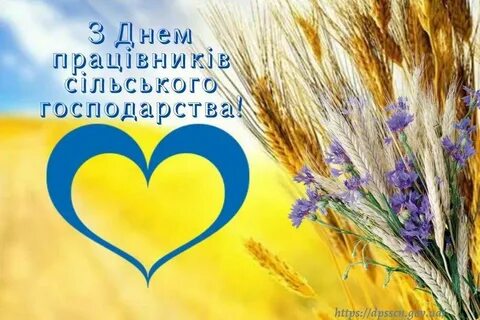 День работников сельского хозяйства украины