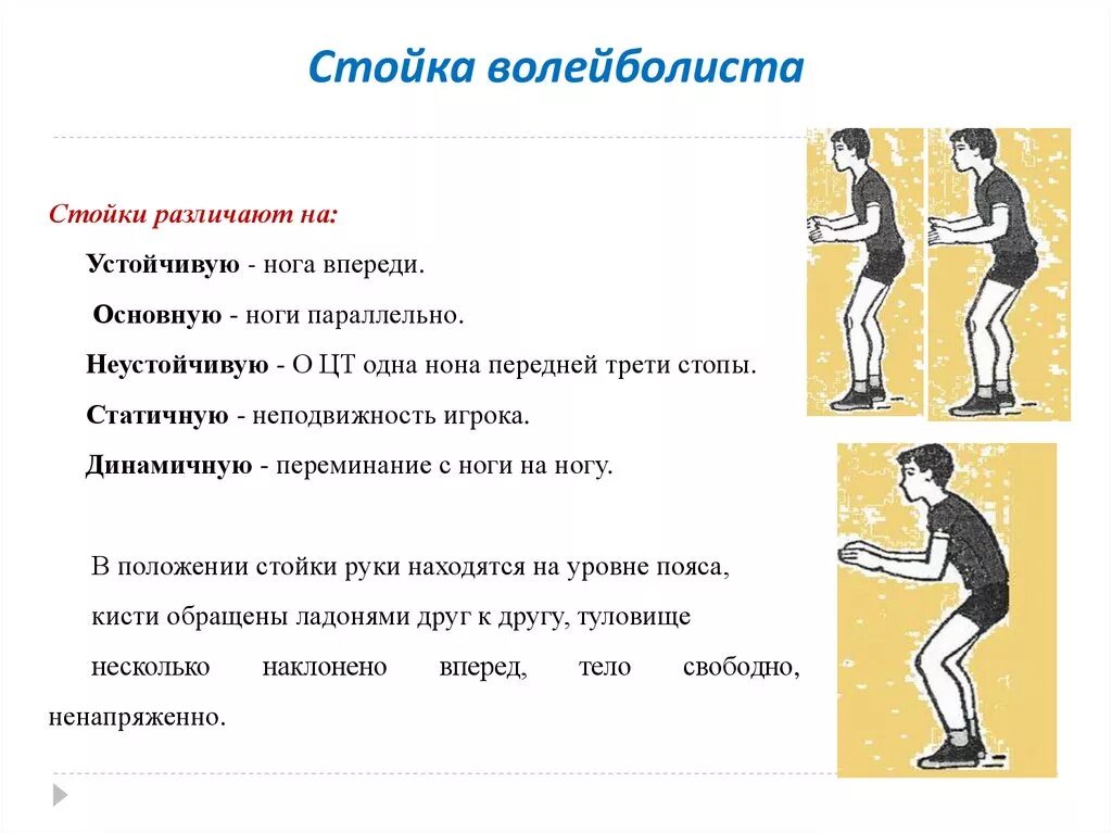 Чем отличается высокая. Техника стойки волейболиста. Основные стойки игрока в волейболе. Основная стартовая стойка волейболиста. Передвижения в стойке в волейболе.