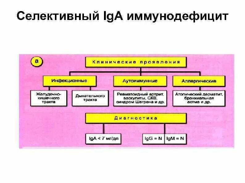 Селективный иммунодефицит. Селективный иммунодефицит iga. Селективные формы иммунодефицита. Иммунодефицит diagrammy.