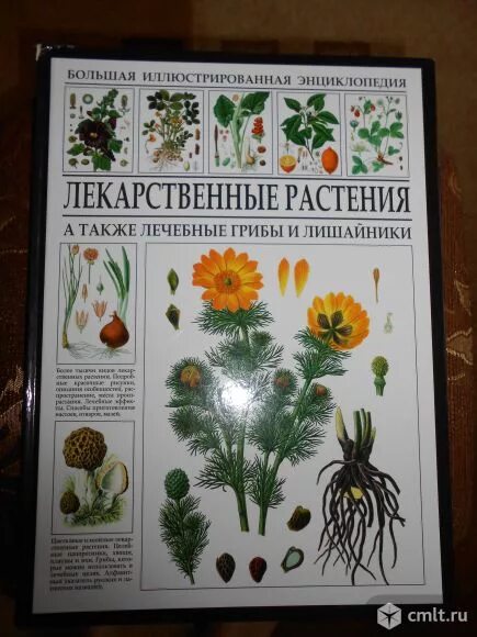 Растения иллюстрированная энциклопедия