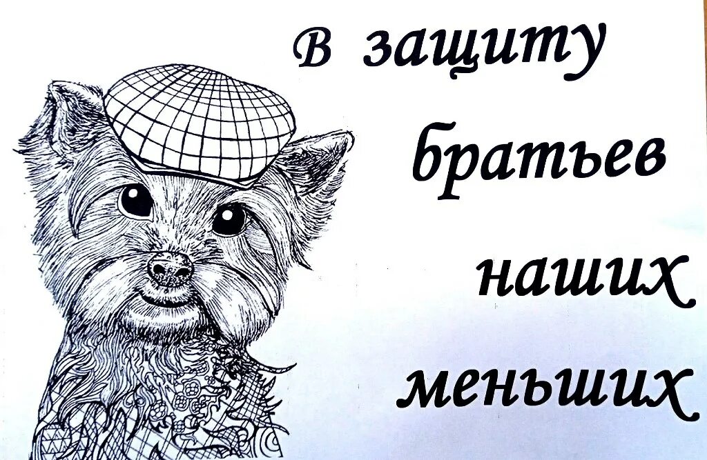 Защита братьев меньших. Защитим братьев наших меньших. рисунок на тему защитим братьев наших меньших черно белый.