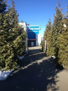 Арктика владикавказ телефон