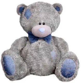 Teddy b