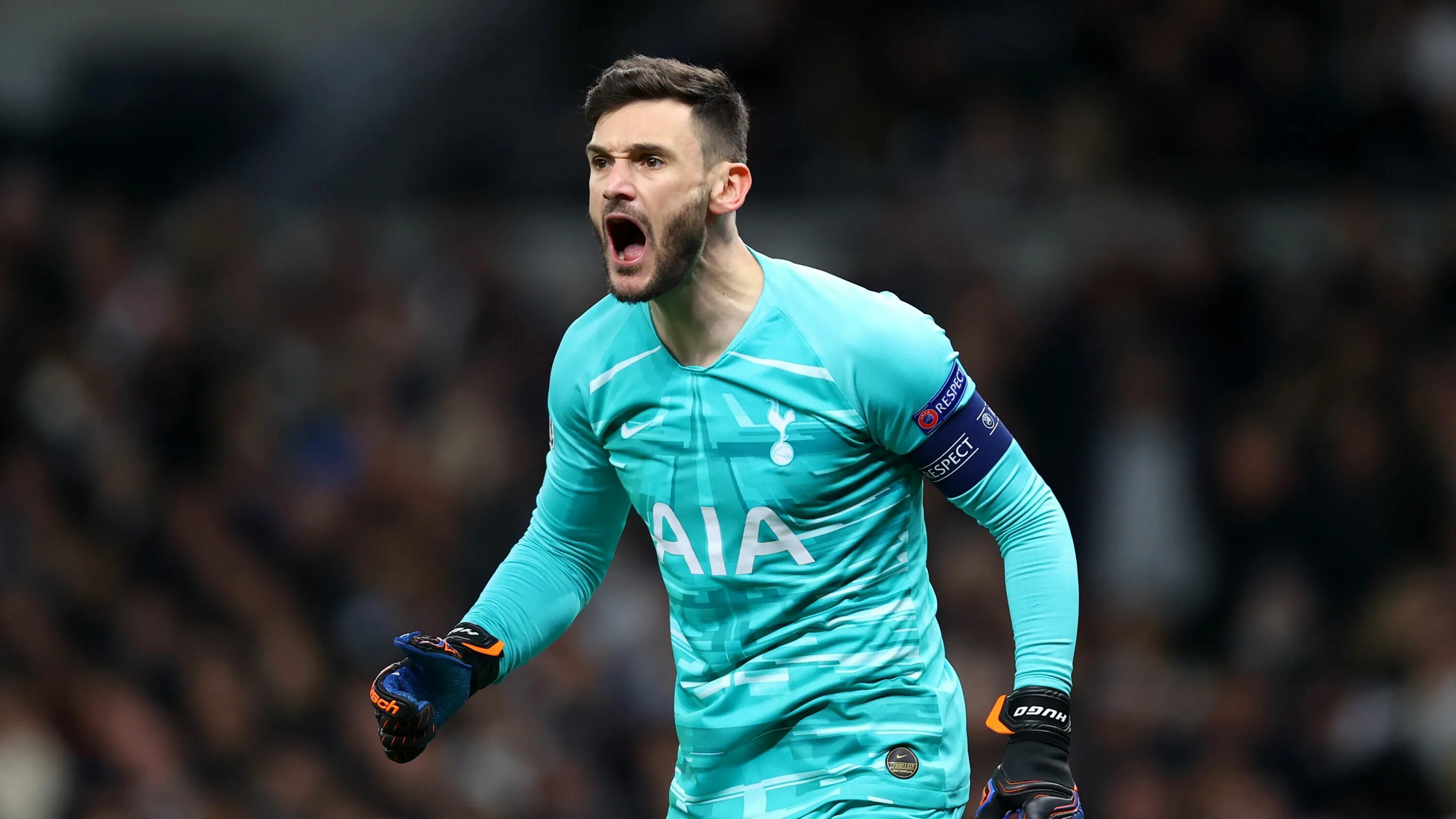Lori s. Уго льорис вратарь. lloris вратарь. лорис вратарь франции. lloris тоттенхэм.