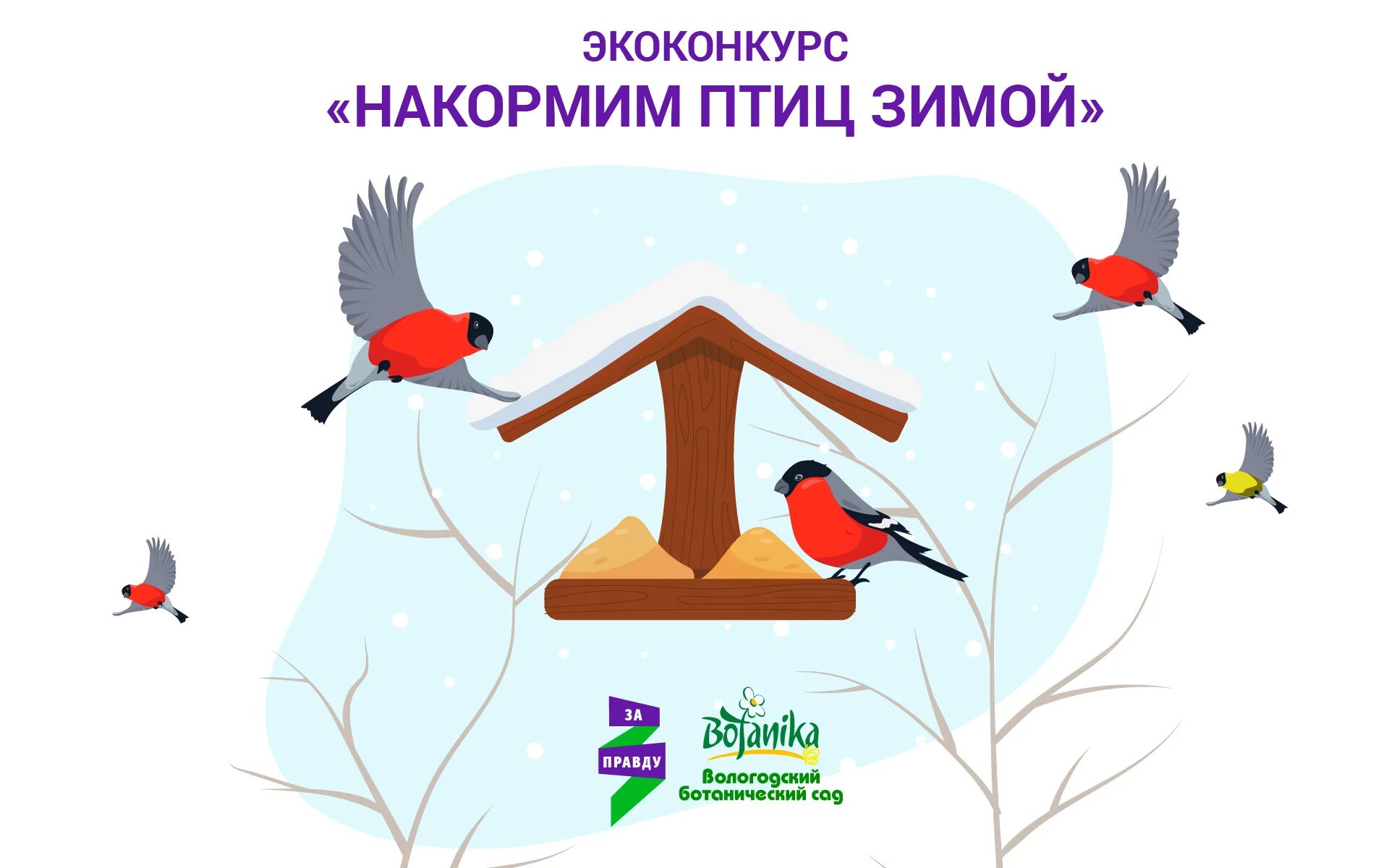 Покорми поскорей. Покормите птиц зимой. акция покормите птиц зимой. рамки для экологической акции накорми птиц зимой. акция покорми зимующих птиц.