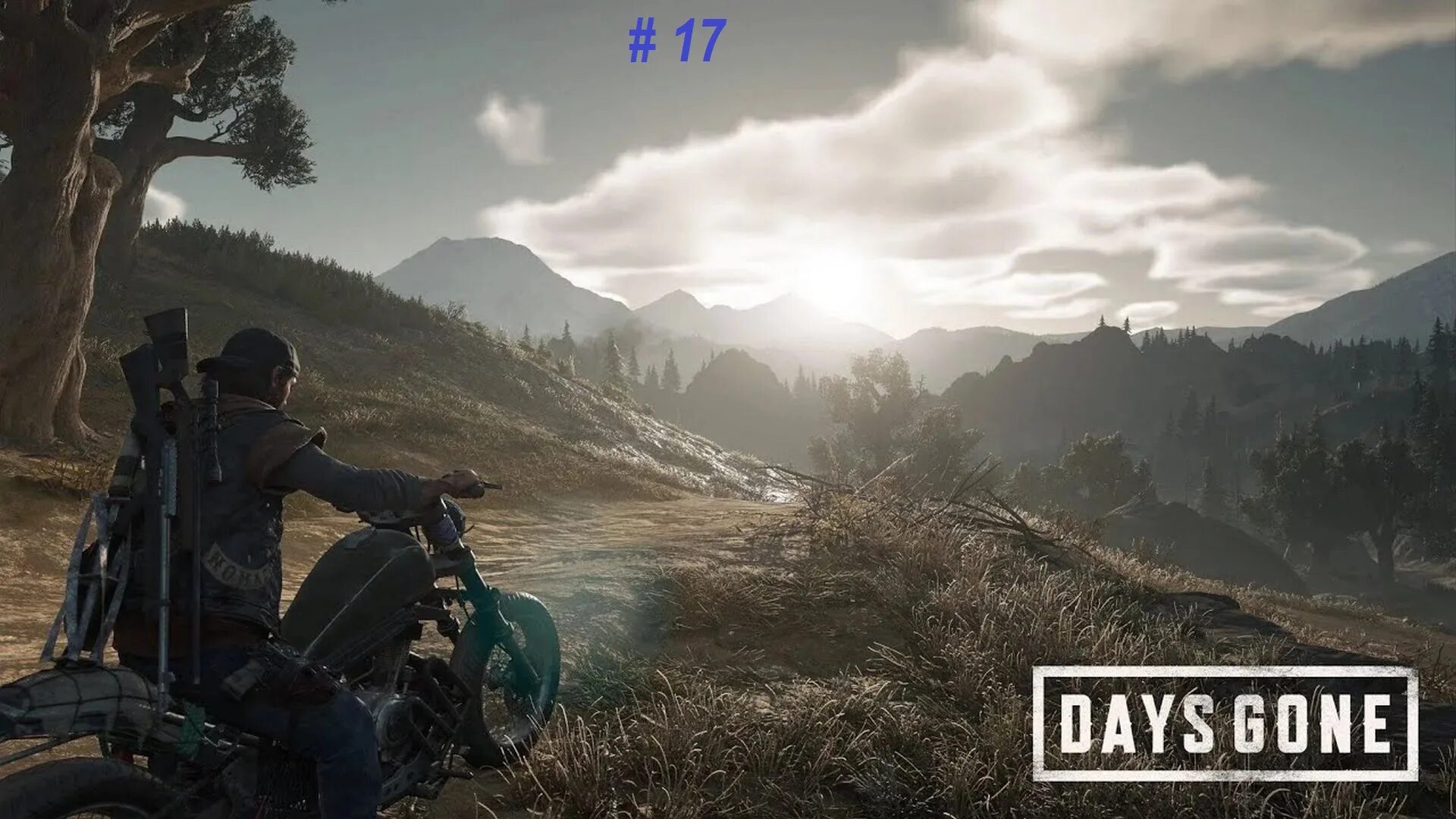 Я всю жизнь на болоте живу и всем советую. Еда надпись. Reprobates. Days gone 2015. Игра days gone 2.