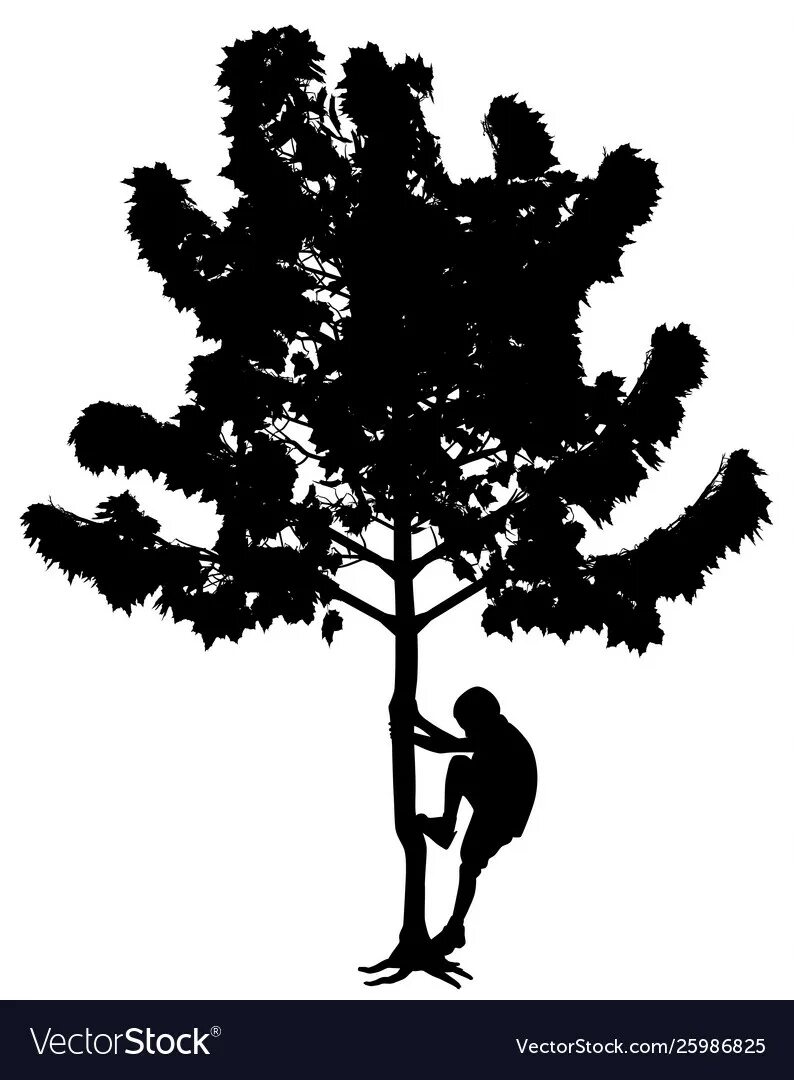 I climb trees