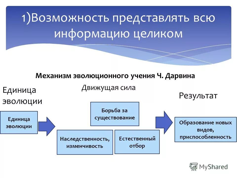 механизм эволюции согласно теории ч. закономерности и механизмы эволюции таможенных органов. эволюционная теория ч дарвина схема. дарвина. механизмы эволюционного процесса.
