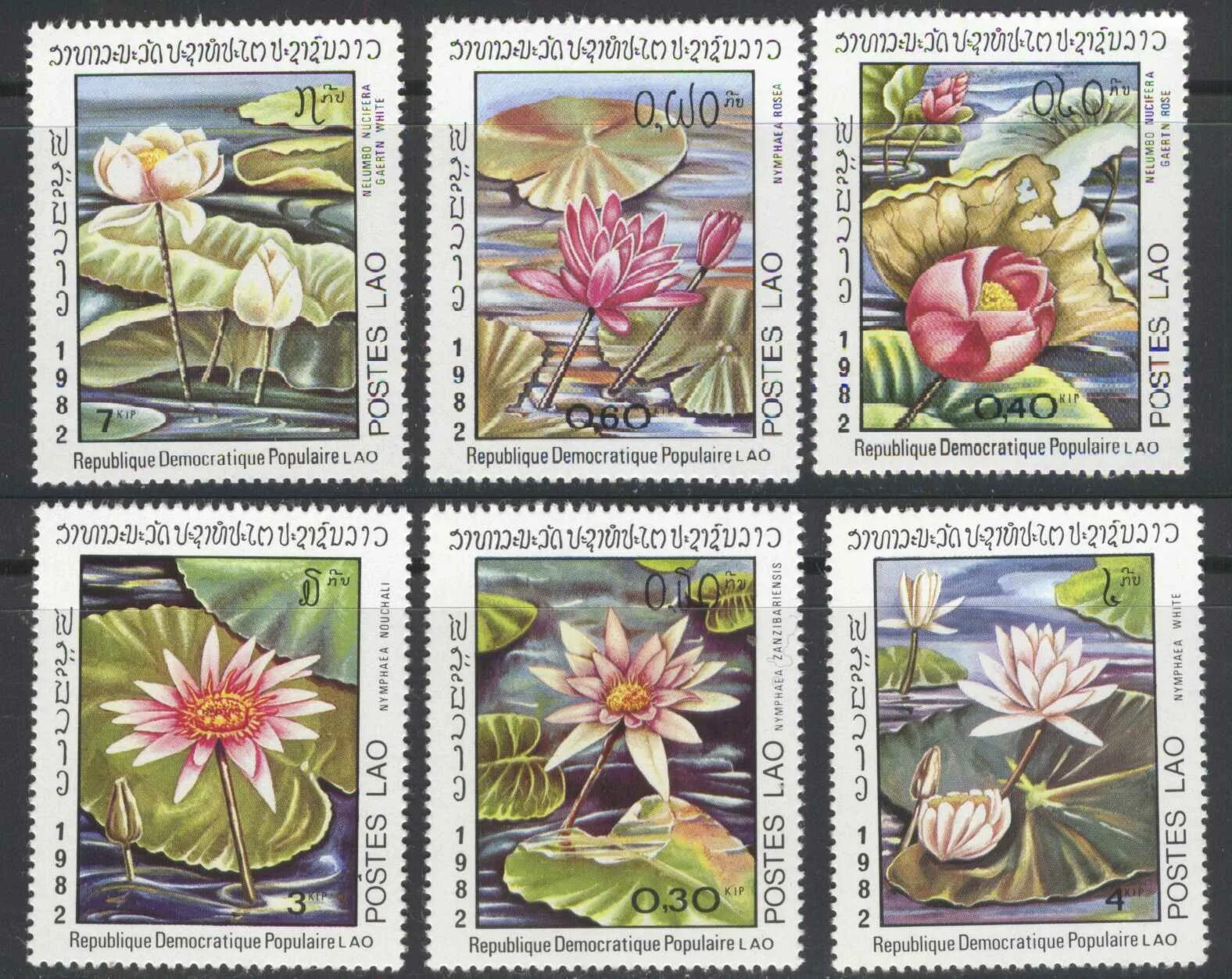 Марки с растениями. Марки с цветами ссср. Марки с растениями. Марки цвета. Марки цвета.