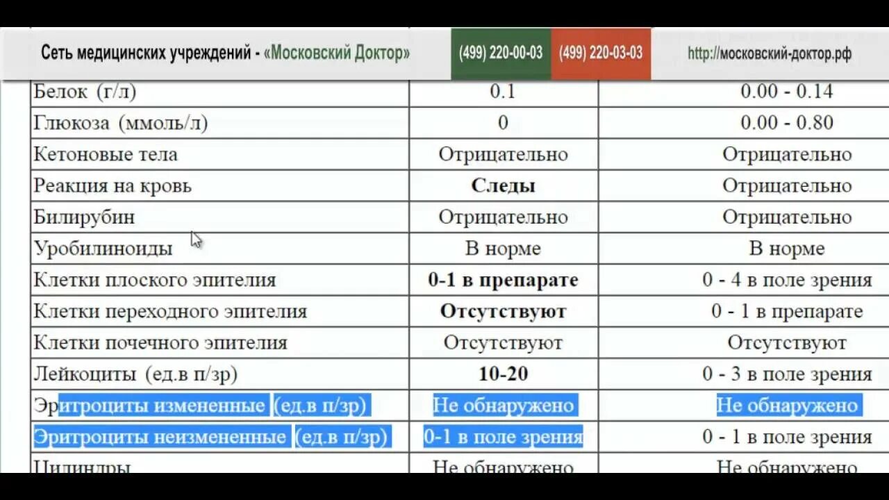 Что повышено в моче при беременности. Норма эритроцитов в моче у беременных. Эритроциты в моче норма. Эритроциты в моче у беременной норма. Эритроциты в моче при беременности норма.