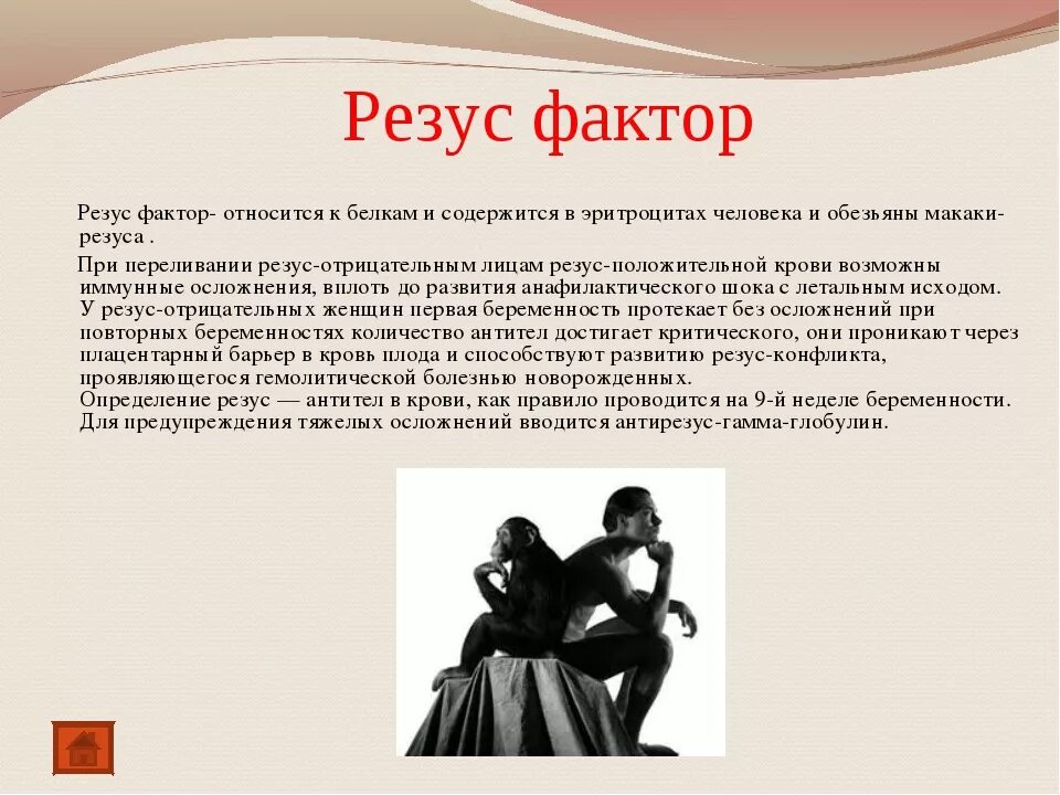 Резус-фактор содержится в. Резус-фактор крови содержится в. Резус фактор интересные факты. Резус фактор содержится в чем. Откуда взялся резус