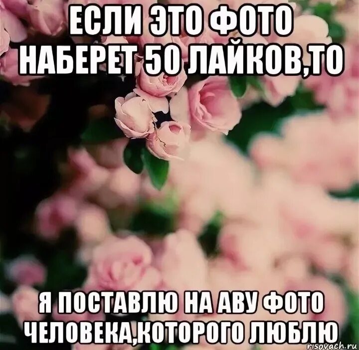 Почему много лайков. Если этот пост наберет 100 лайков то. Если это фото наберет. Картинки если наберет лайков то.... Картинки набирающие много лайков.