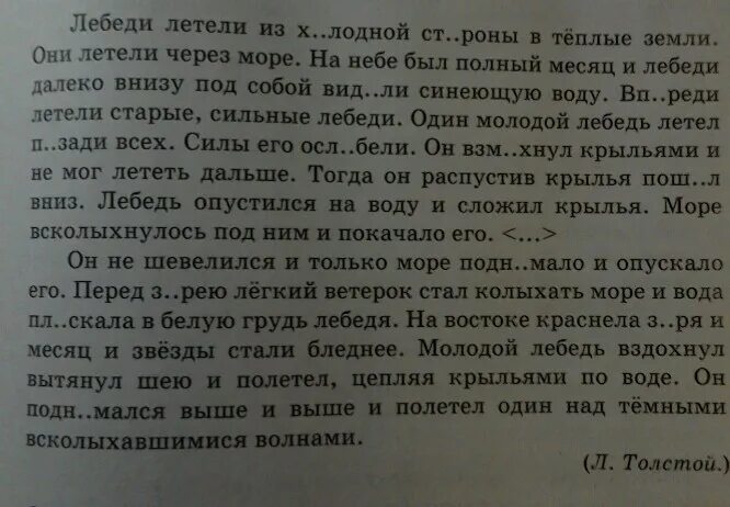 Основная мысль лебеди толстого. Изложение лебеди. Изложение лебеди толстой. Изложение лебеди 4 класс. План к изложению лебеди.