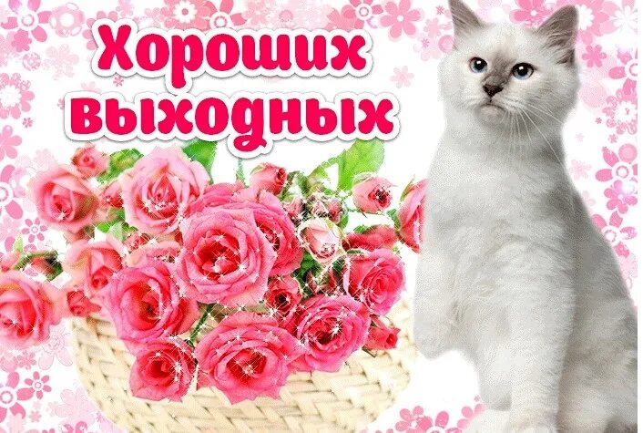 7 хороших выходных. Открытки отличных выходных. хороших выходных открытки. открытки хороших выходных и отличного. хороших тебе выходных.