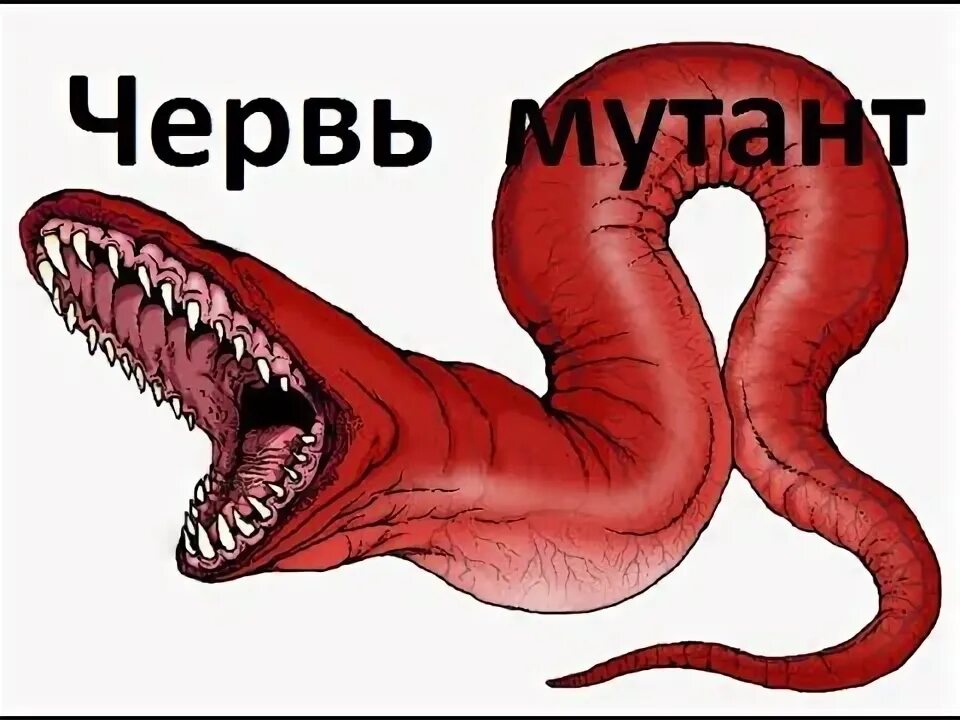 Могильный червь ризофаг. Компьютерный вирус storm worm. Песчаный червь. Червяк мутант. Червяк монстр червяк монстр.