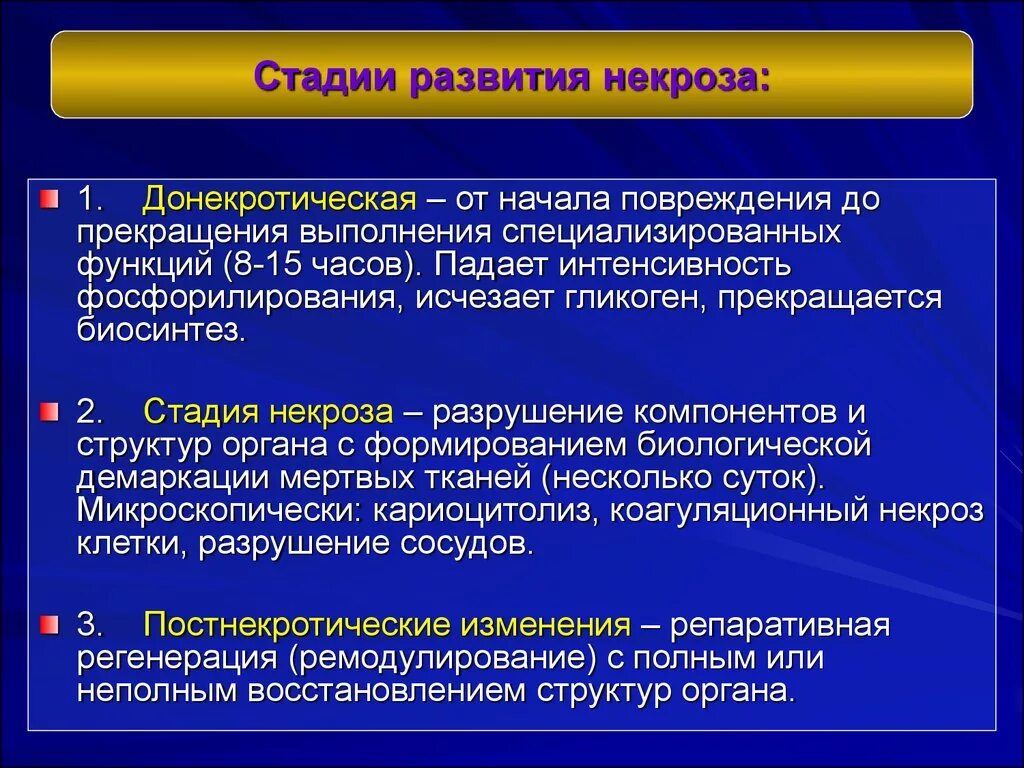 Этапы некроза. Стадии некротического процесса. Стадии развития некроза.