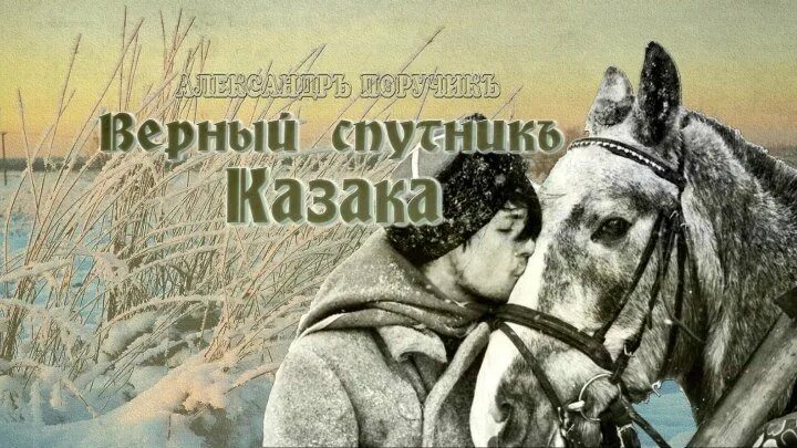 Конь друг казака. Отношение казака к коню. Конь друг казака. Казачья лошадь. Верный конь песня.
