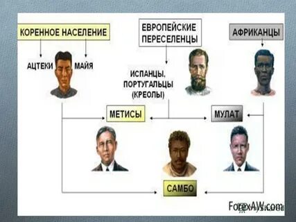 Креолы это смесь каких