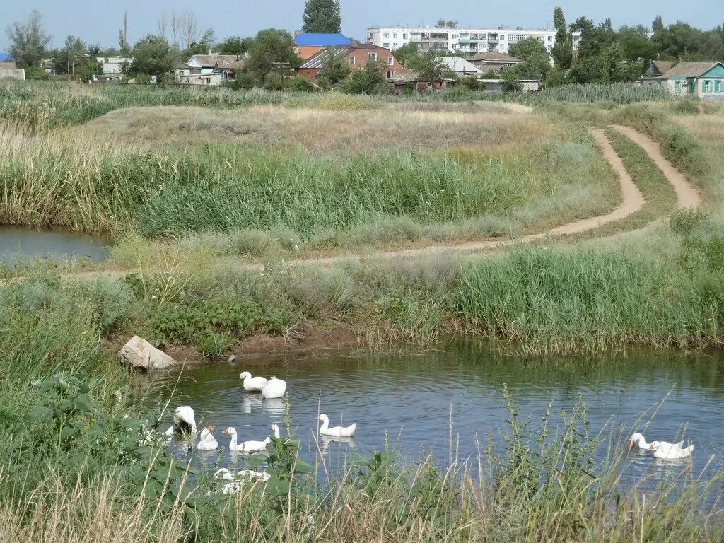 Хутор веселый котельниковский. Волгоградская обл., , Котельниково. Река в Котельниково Волгоградской области. Г Котельниково Котельниковский район Волгоградской области. Город Котельники Волгоградская область.