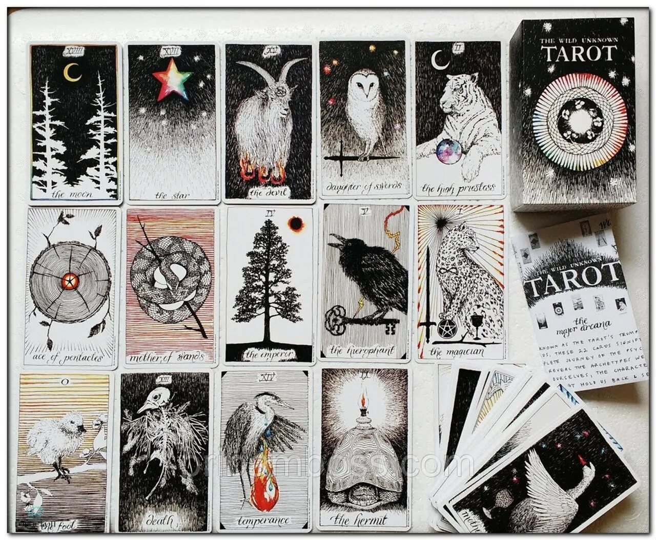 Дикое неизвестное таро. Дикое неизвестное Таро / the Wild Unknown Tarot. Колода дикое Таро. Колода Таро the Wild Unknown Tarot.