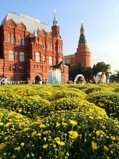 Сайт роз москва