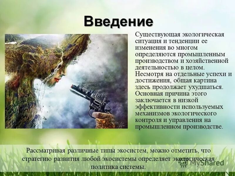 Окружающая среда ели 3 класс. Экологические группы по отношению. Экологические группы по отношению к свету. Стих про елку. Объекты составляющие окружающую среду ели.