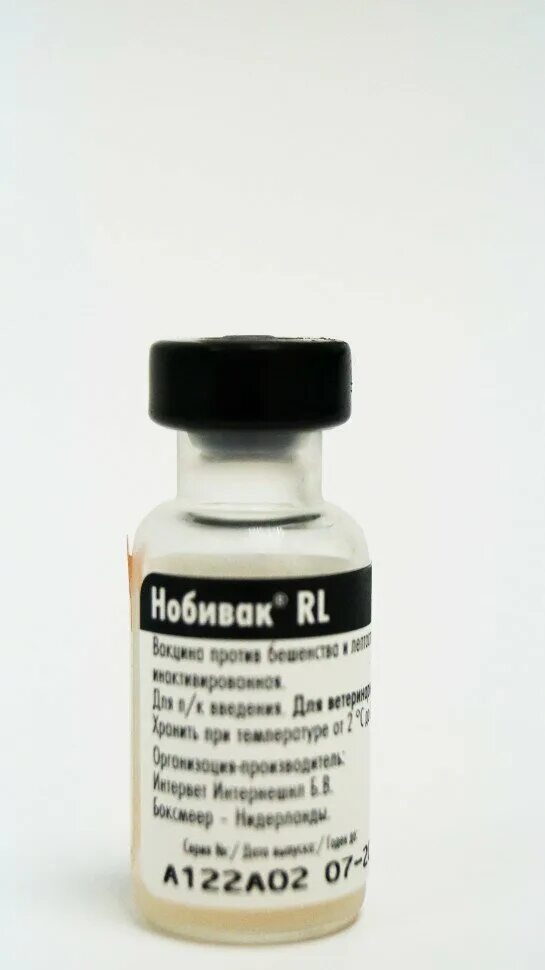 Вакцина нобивак для собак. Нобивак rabies. Вакцина нобивак dhppi + l, комплект. Вакцина нобивак dhppi для собак. Вакцина нобивак rabies (1 шт.