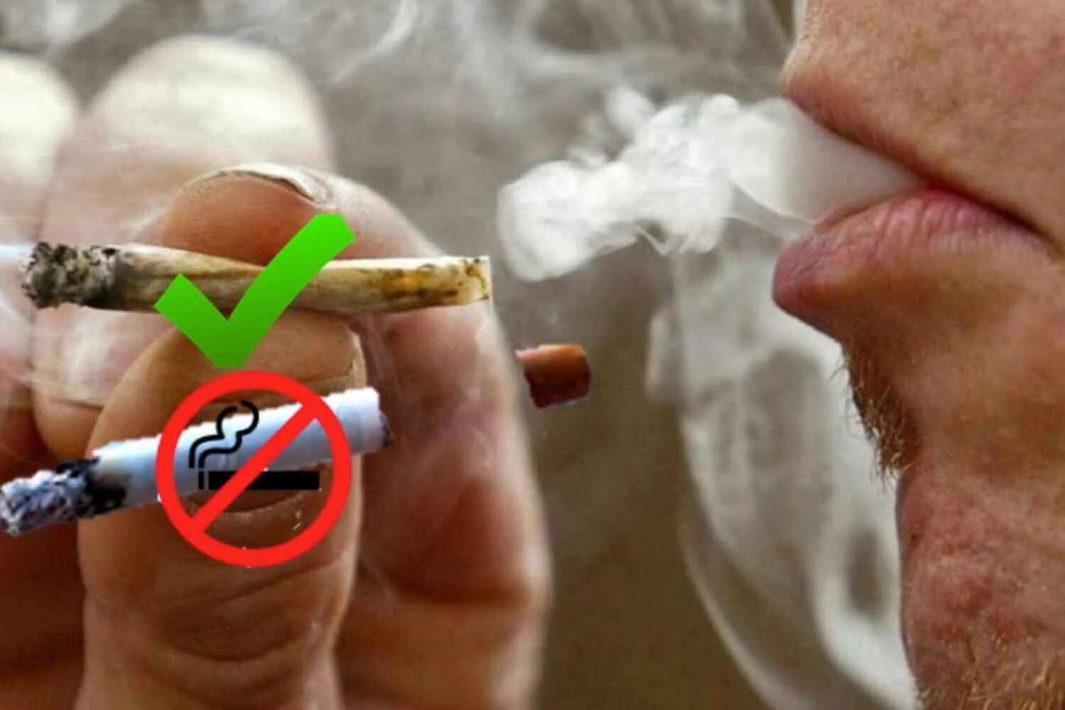 Курил махорку. Курение табака. Табак курить. Запрет на курение марихуаны. Курильщик трубки.