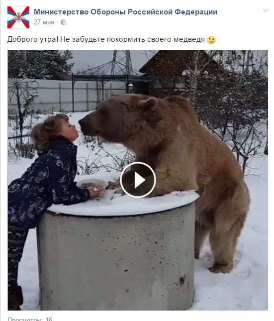 Meanwhile in Russia Мем. Мемы на русском. Минвайл Мем. Приколы про Россию. Russian petting