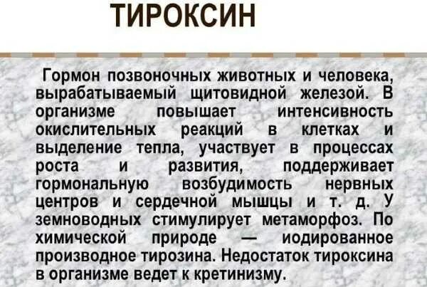 Тироксин гормон чего. Тироксин функции гормона. тироксин функции гормона в организме. тироксин гормон щитовидной железы функции. тироксин роль гормона.