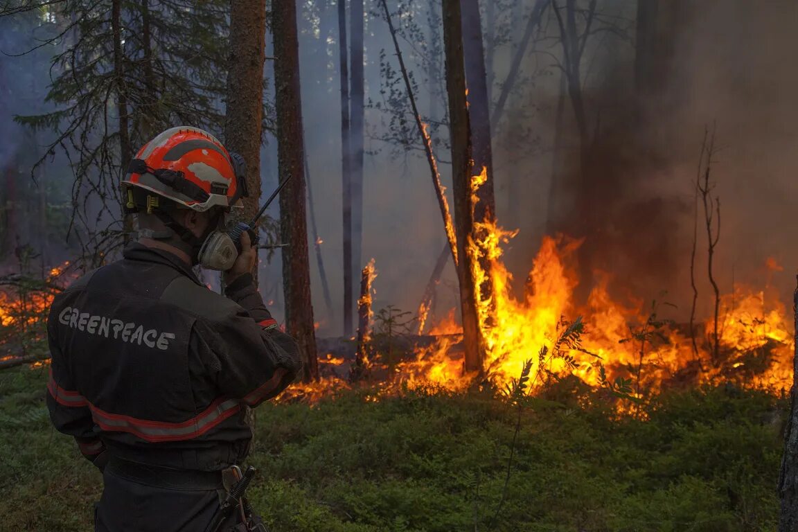 Борьба с лесными пожарами. Социальные пожары. Социальные пожары. Лесные пожары. Человек и пожар в лесу.