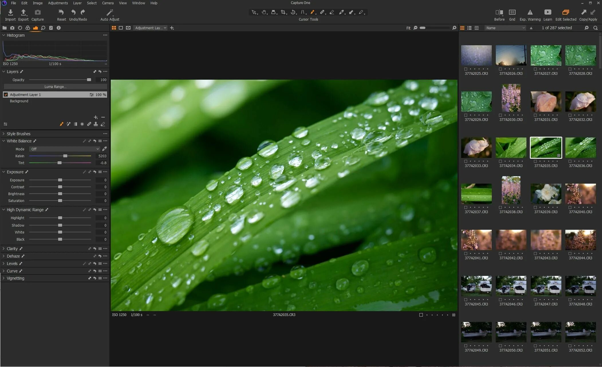 Capture one 16.3. Capture one pro 22. capture one pro 21. capture one 2025. capture one 2025.