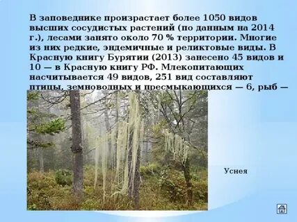 Документ заповедника